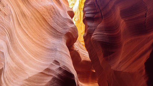 A narrow canyon with smooth, wavy red rock walls illuminated by warm sunlight.