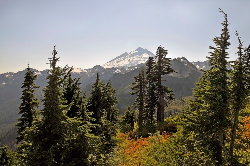 A scenic view of a snow-capped mountain surrounded by lush green trees and rugged terrain under a clear blue sky.