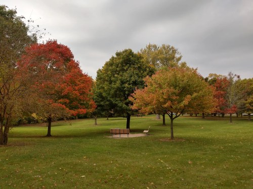 A vibrant park with fall foliage painting the trees in red, orange, yellow, and green.