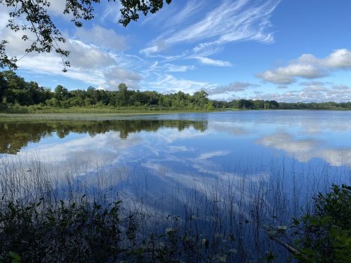 A serene lake reflecting blue skies and clouds, surrounded by lush greenery and gentle grasses along the shore.