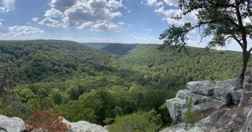 A scenic overlook from a trail at Buck's Pocket State Park in Alabama.