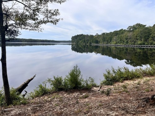 A calm lake surrounded by trees, reflecting the sky and greenery, with a sandy shore in the foreground.