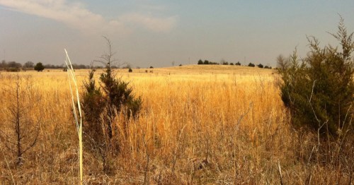 a vast view of a prairie in the fall at chatauqua hills in kansas