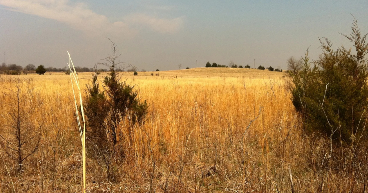 Discover Kansas's Best Fall Foliage at Cross Timbers
