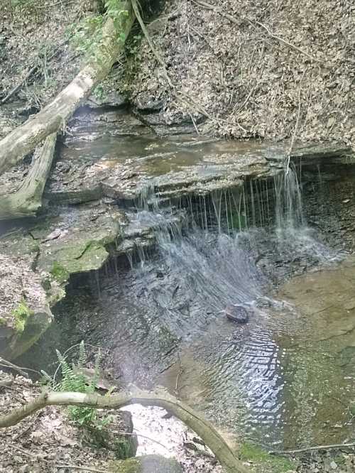 A natural spring trickles over bedrock in an Ohio park.