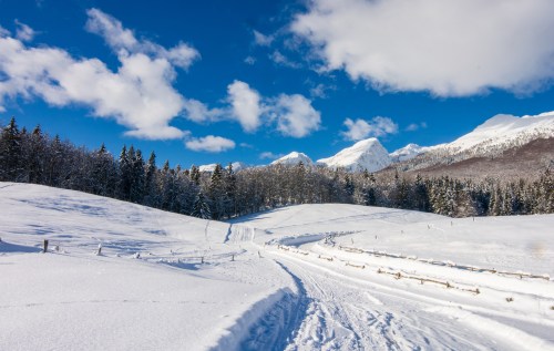 A snowy landscape with a winding path, surrounded by trees and mountains under a bright blue sky with fluffy clouds.