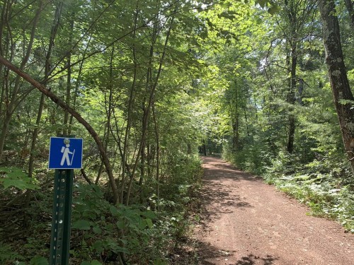 A dirt path through a lush green forest, with a blue sign indicating it's a walking trail.