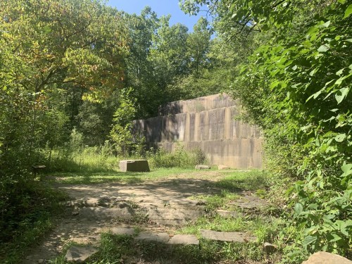 A stone structure partially covered by greenery, surrounded by trees and a clear blue sky.