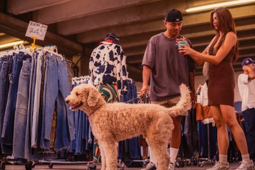 A man and a woman look at a drink while a fluffy dog stands beside them in a clothing market. Jeans are displayed nearby.