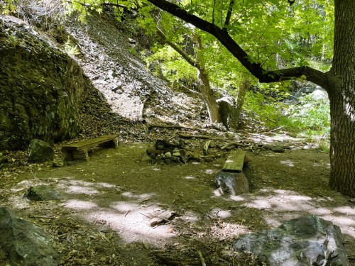 A secluded campsite with wooden benches, a fire pit, and dappled sunlight filtering through trees.