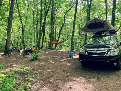A campsite in a forest with a car, rooftop tent, hammock, and two people relaxing among the trees.