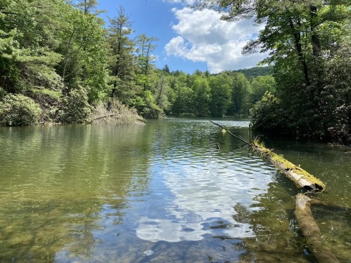 A serene lake surrounded by lush green trees under a blue sky with fluffy clouds, featuring a fallen log in the water.