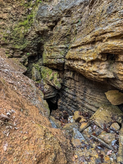A rocky cave entrance surrounded by earthy tones and moss, with water pooling at the base.