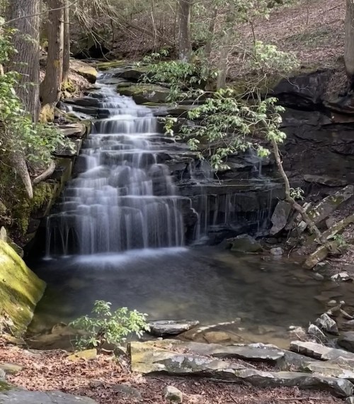 A serene waterfall cascades over rocks into a calm pool, surrounded by lush greenery and forested terrain.