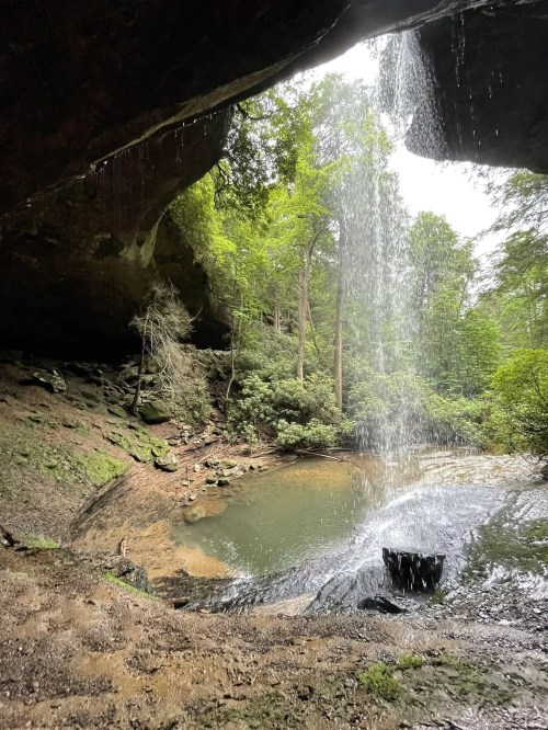 A serene waterfall cascades into a tranquil pool, surrounded by lush greenery and rocky terrain.