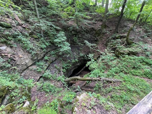A dark cave entrance surrounded by lush green foliage and trees in a forested area.