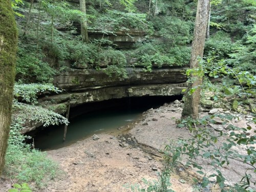 A dark cave entrance surrounded by lush greenery and trees, with a small pool of water in the foreground.