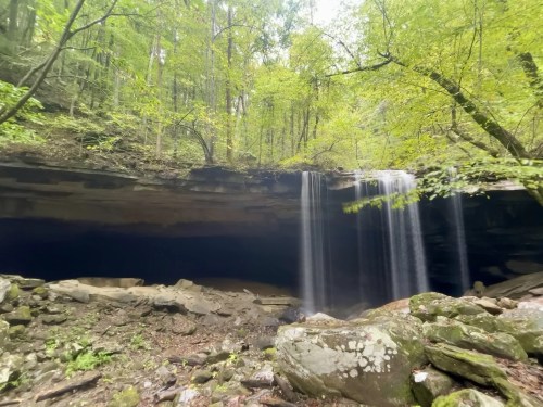 A serene waterfall cascades from a rocky overhang, surrounded by lush green trees and mossy stones.