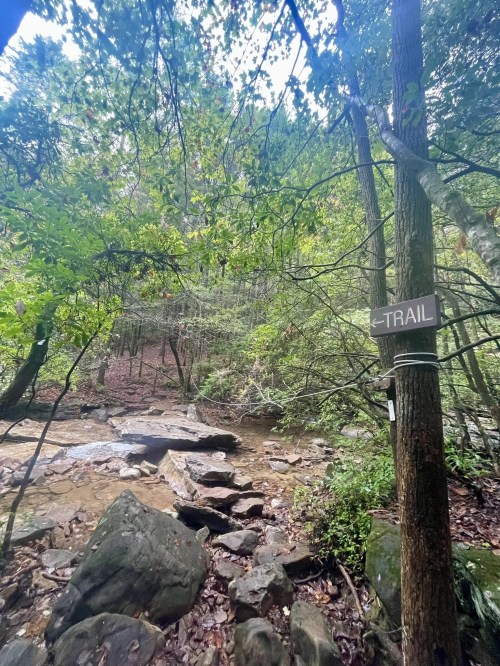A wooded trail sign points towards a rocky path beside a small stream in a lush green forest.