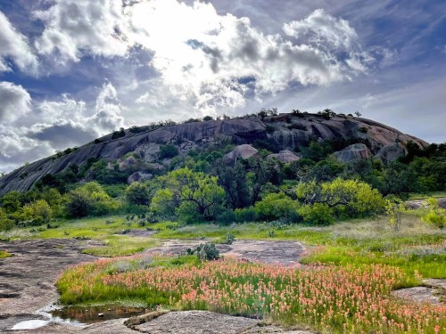 A rocky hill rises under a cloudy sky, surrounded by green vegetation and a field of pink wildflowers in the foreground.