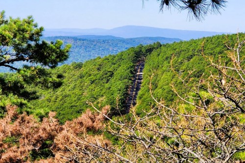 Views from Mountain Top Trail Loop near Muse OK
