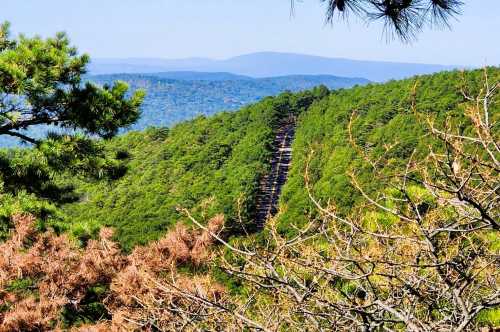 Views from Mountain Top Trail Loop near Muse OK