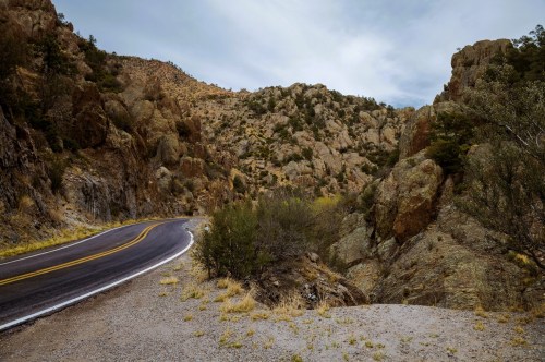 Winding road inside Gila National Forest in NM