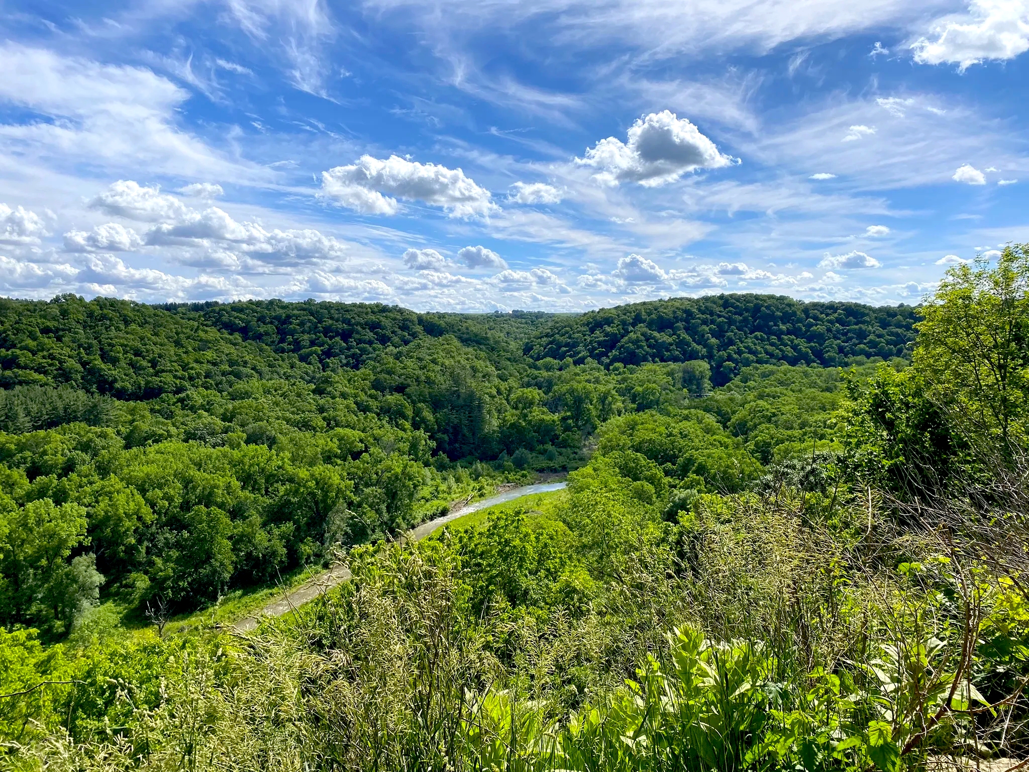 The AudubonDesignated Area in Iowa Where You’ll See Dozens of Bird