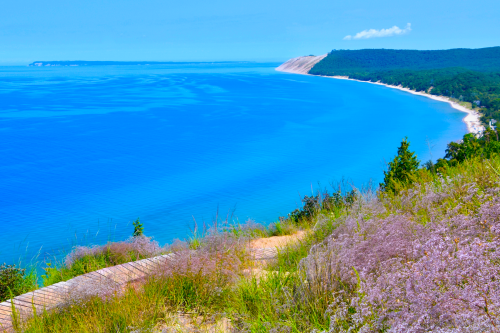 A scenic view of a blue lake bordered by green hills and blooming purple flowers in the foreground.
