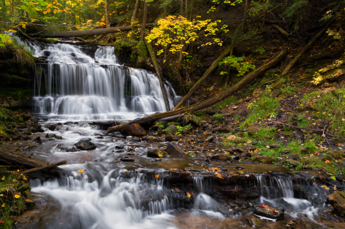 A serene waterfall cascades over rocks, surrounded by lush greenery and autumn leaves.