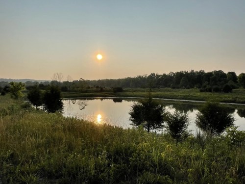 A setting sun reflects in a prairie-surrounded pond in Ohio.
