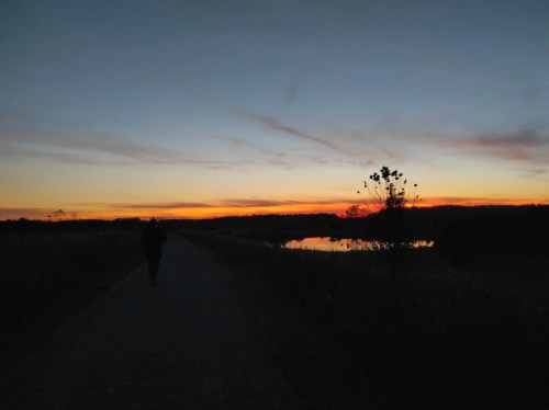 A darkened meadow with a reflective pond under a dusk-tinged sky fading into an orange horizon.