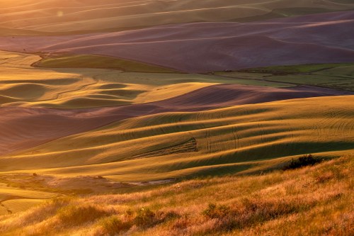 Rolling hills bathed in golden sunlight, showcasing a patchwork of green and brown fields in a serene landscape.