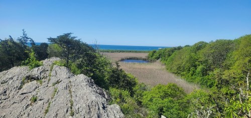 A scenic view of a coastal marsh with a blue sky, rocky foreground, and lush greenery surrounding a calm water body.