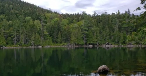 Still water with a rocky shoreline and forested hills in the background.