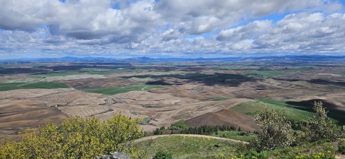 A panoramic view of rolling hills and fields under a cloudy sky, showcasing various shades of green and brown.