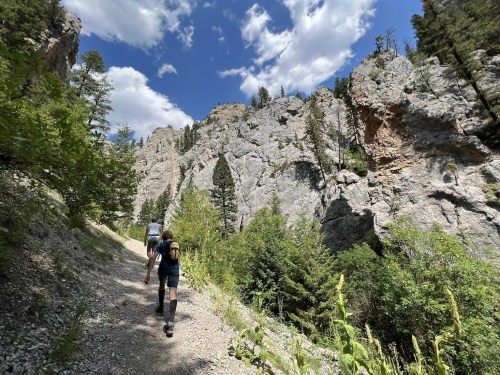 Two hikers ascend a rocky trail surrounded by tall trees and steep cliffs under a blue sky with fluffy clouds.