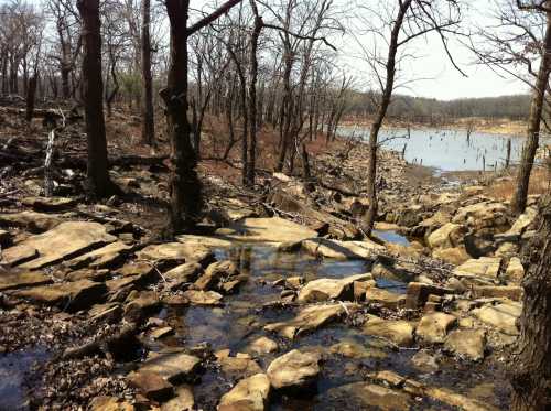 A forested stream spilling out into an open lake in Kansas.