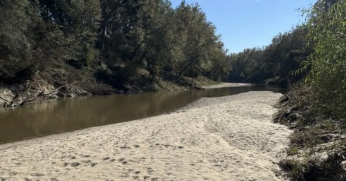 A view of the Comite River and its beach seen from an iconic hiking trail in Louisiana.
