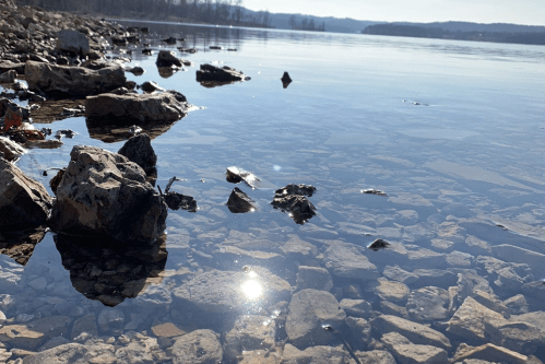 A serene lakeside view with clear water reflecting sunlight and scattered rocks along the shore.