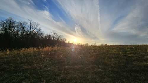 A grassy hill with a wintry forest on the left stretches toward the horizon.