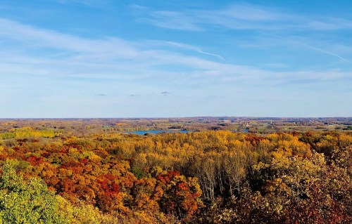 A panoramic view of vibrant autumn foliage with a clear blue sky and distant hills under soft clouds.
