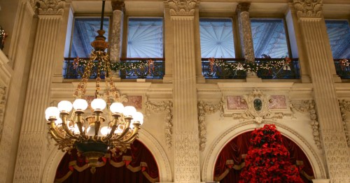 shot of the top of the poinsettia tree, chandeliers, and twinkling lights decorating a large room for christmas at the breakers mansion in Newport rhode island