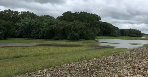 a grave trail with water views and woods in Lawrence kansas on a cloudy day