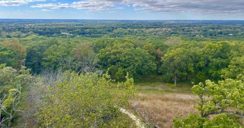 An elevated view of a trail curving through an oak savanna and into an expanse of green forest that stretches to the horizon beneath a blue sky.