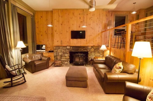 Cozy living room with wooden walls, stone fireplace, leather sofas, and soft lighting.