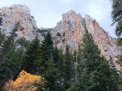 Tall rocky cliffs rise above a dense forest of evergreen trees, with a splash of autumn foliage in the foreground.