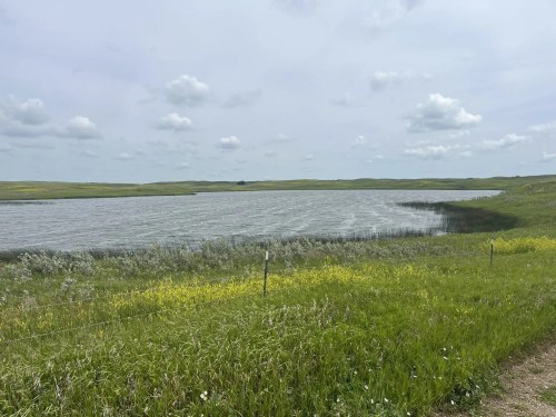 A serene landscape featuring a calm lake surrounded by green grass and wildflowers under a cloudy sky.
