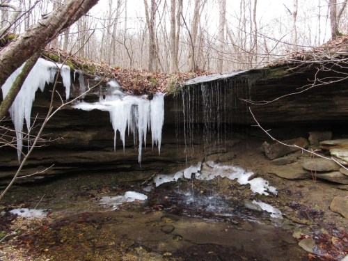 A frozen waterfall with icicles hanging from a rocky ledge, surrounded by bare trees and a small pool of water below.