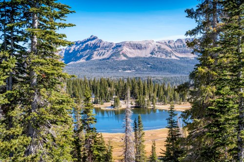 A serene landscape featuring a calm lake surrounded by tall pine trees and mountains under a clear blue sky.
